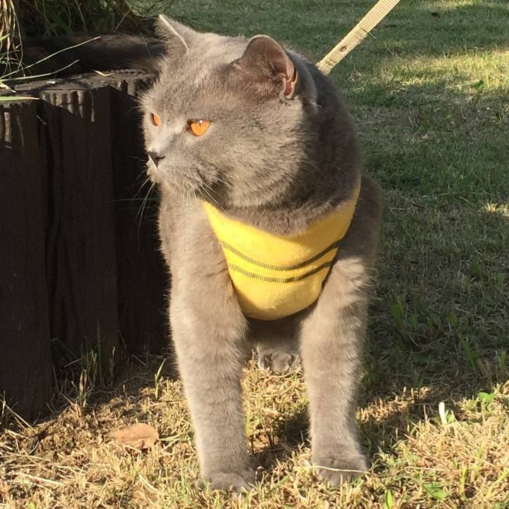 0e1ba1f8 2aed 47bd a377 59d588c91e7e