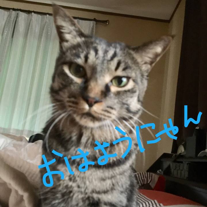 0e1bf11e 1099 4ea5 9a77 668b40d33e58