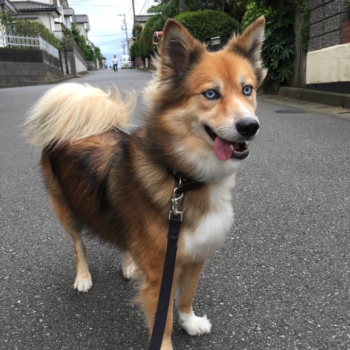 0e1c247b 182c 41d9 8e6d 5924d1f9dd9a