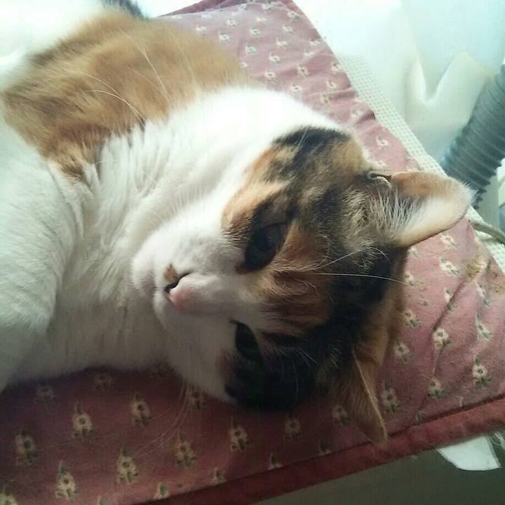 0e1c2c89 2328 4d3e 80e5 8ec68164d9f7