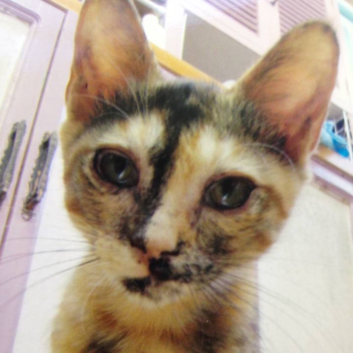 0e1cd5b8 f1d8 49ee ac25 5c1911a4cc54