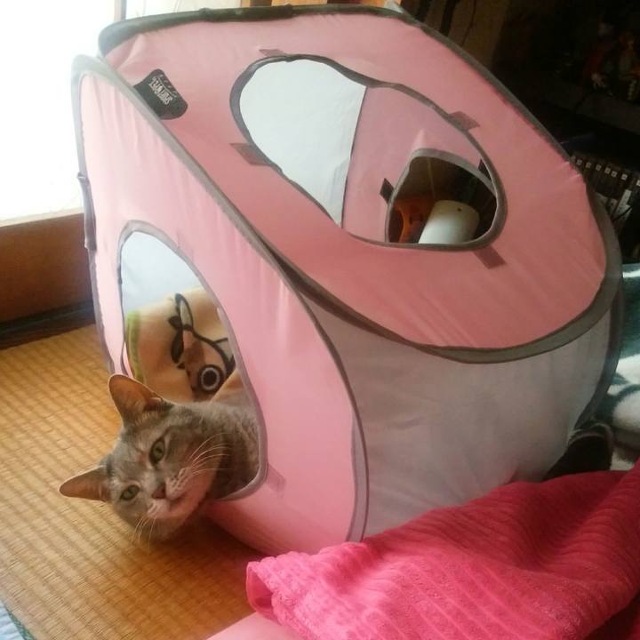 0e1d2745 ef1f 422e bb67 d09ba4dbe88a