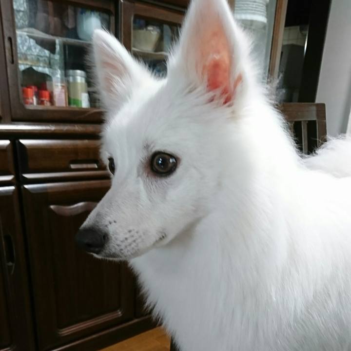 0e1dc088 cf44 4efe 85c7 a834526d3020