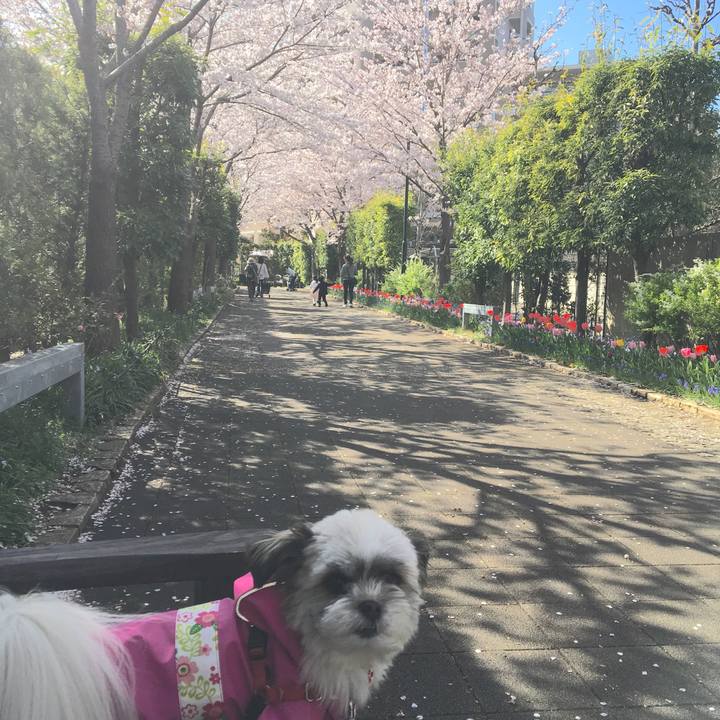 0e1e1f72 fb57 43ae a696 9c42e42a9341