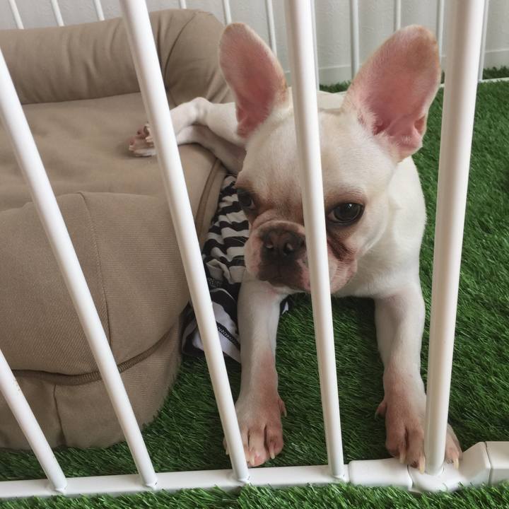 0e1e7610 93b2 439b 9846 5a0cfa3ae250