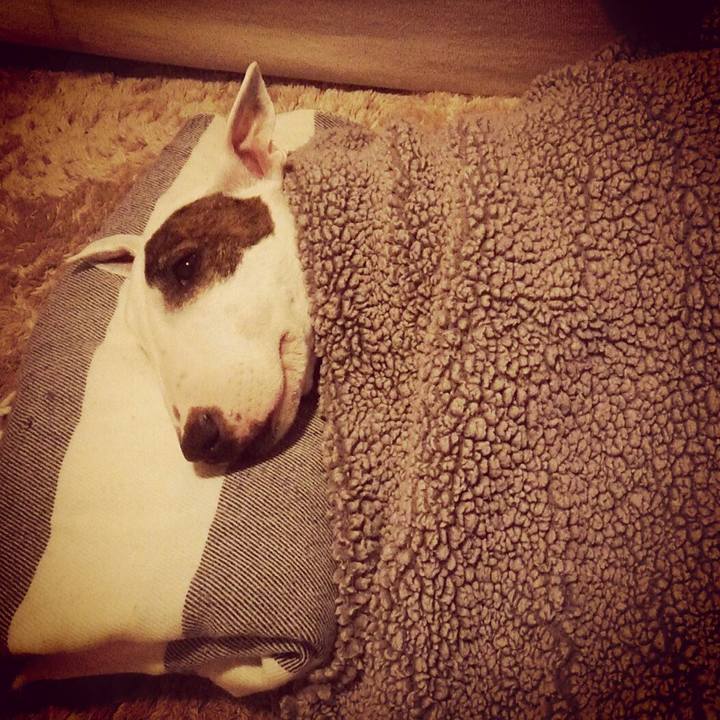 0e1e9bb7 a58a 46fe a703 8f292fdf4e9a