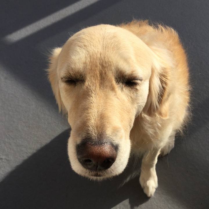 0e1ec744 377c 4395 a53b 7781f12186c1