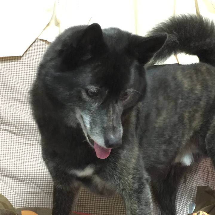 0e1efd42 013d 4f96 b104 8c7e08ccf3e9