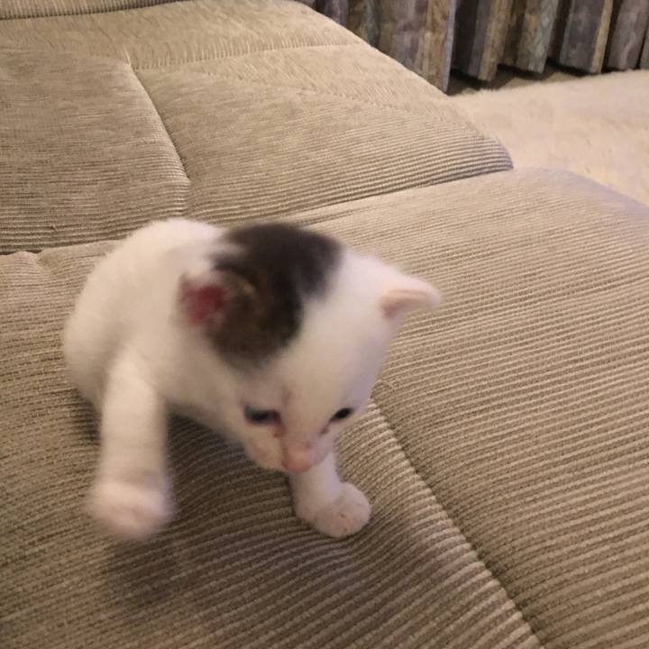 0e1f43e1 c475 4fba 835a 889e6b749883