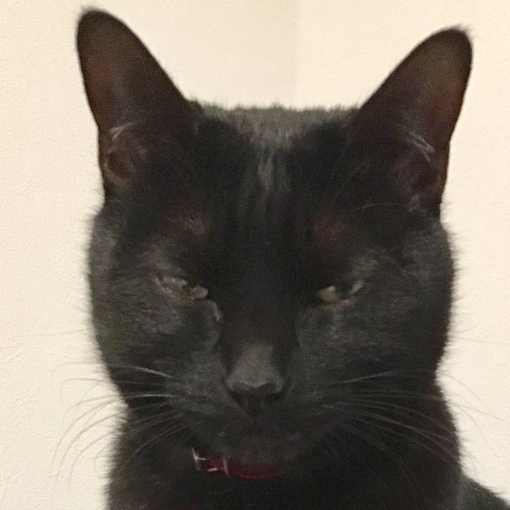 0e1f9848 7781 4921 af01 1b910fa7cd3c