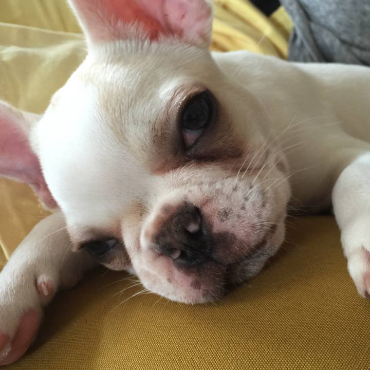 0e1fe367 3bcf 4d42 9d7b 3998d676372e