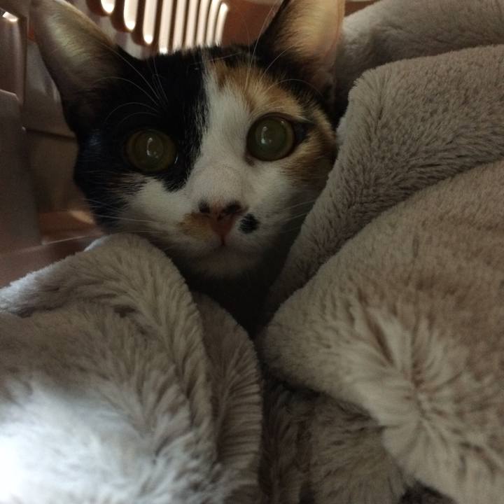 0e1ffa3b 78c6 4156 bf62 c8a917113a45