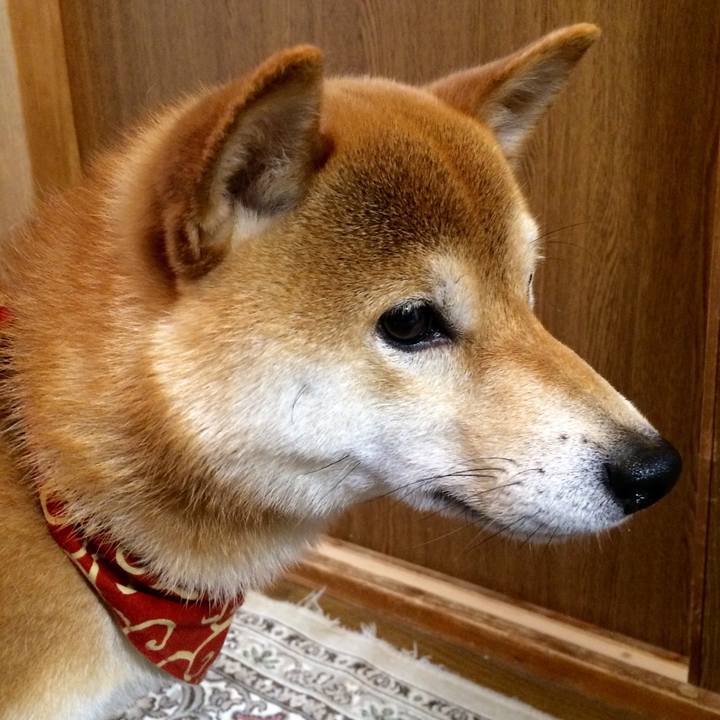 0e200d1a 3816 4b2b b3f1 0f1345e09033