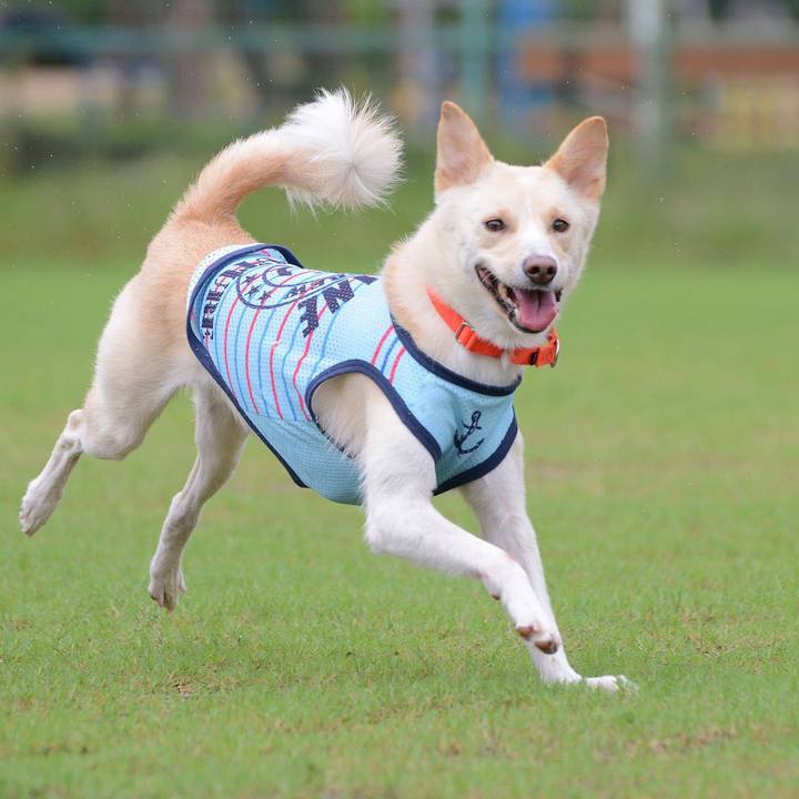 0e2029a9 aef2 4b5e 86ca 0f769d58339e