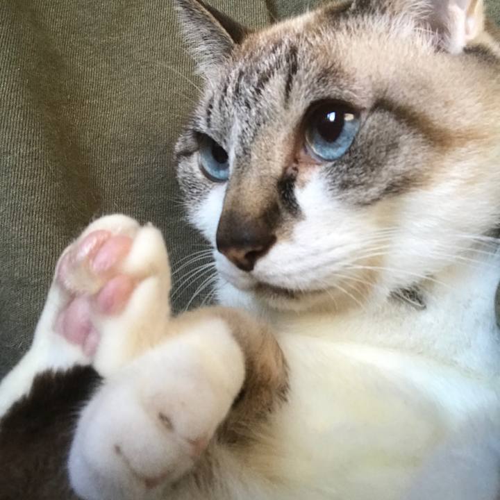 0e204f77 4bd9 4029 b621 dcb16aeb2cdc