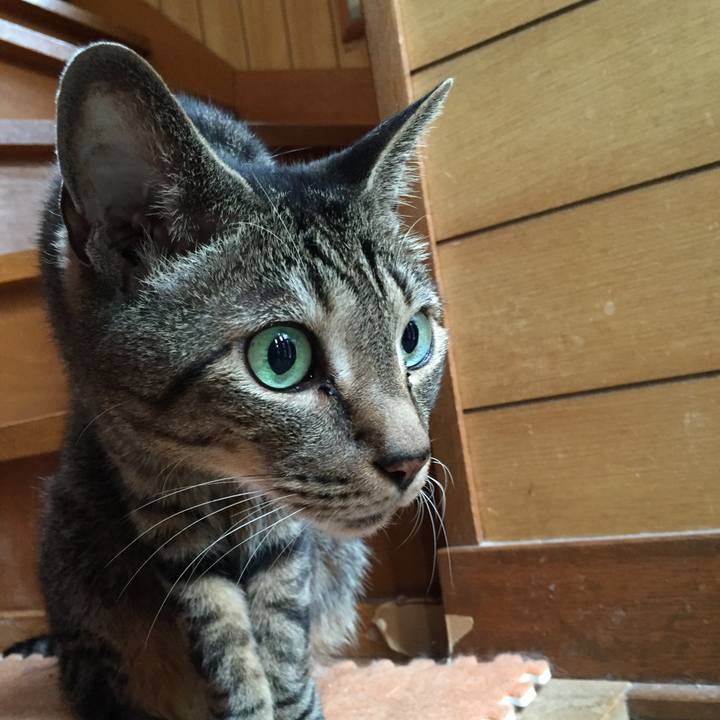 0e2066f8 3d19 4e7c 8cdf cd86a0214055