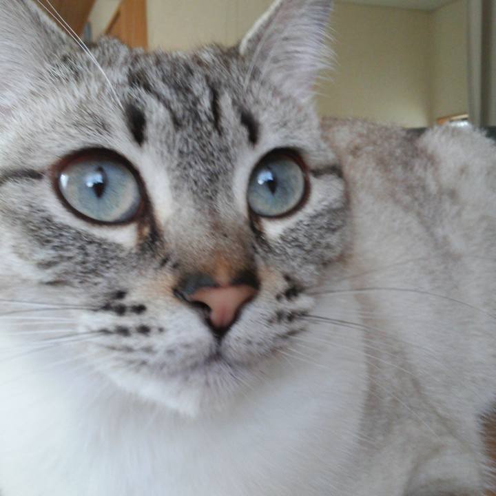 0e20bac5 3f37 4542 8a1f 32a2c165b897