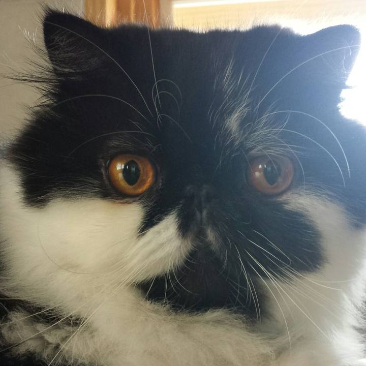 0e20c842 83c5 48f2 8fa5 612cecd46a50