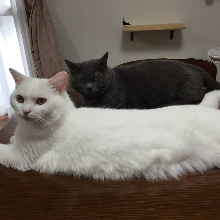 0e20c948 a7be 40e0 b048 f8c922be5b3c