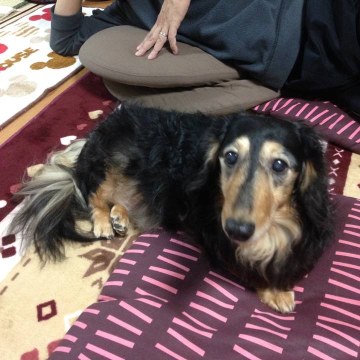 0e21618c 0b45 4328 94f4 b4d89edd4e16