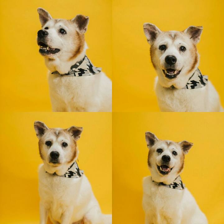 0e21bc95 59af 4ced a0bc bffd992e13bb