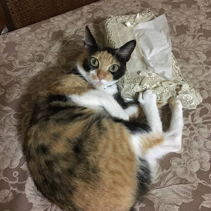 0e2210dd b470 47f3 9d8d 74803b53cb5a