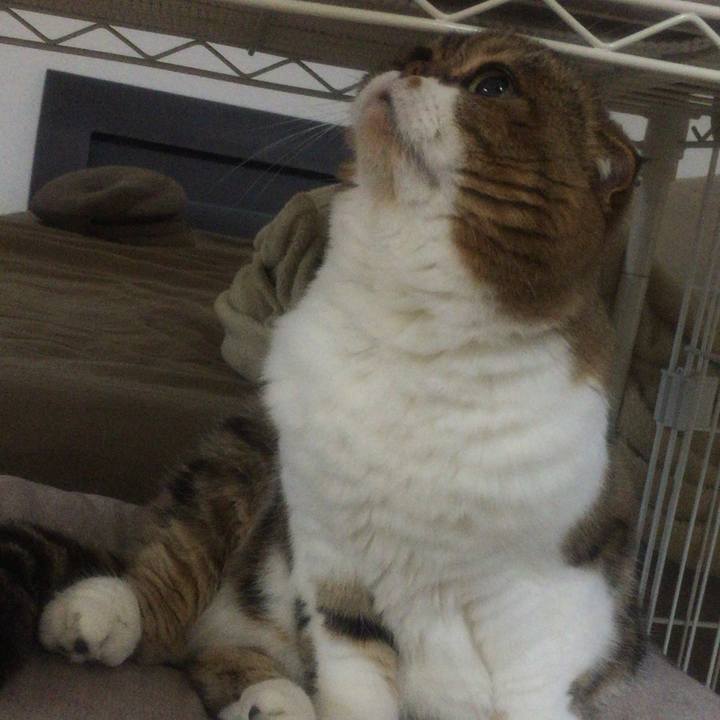 0e222daf 9785 44bc ba82 ea19b55f7450