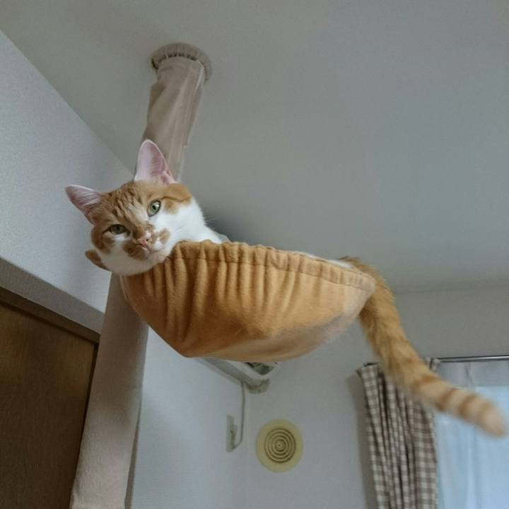 0e226310 64ed 4163 9d1a 9f88093f6f4f