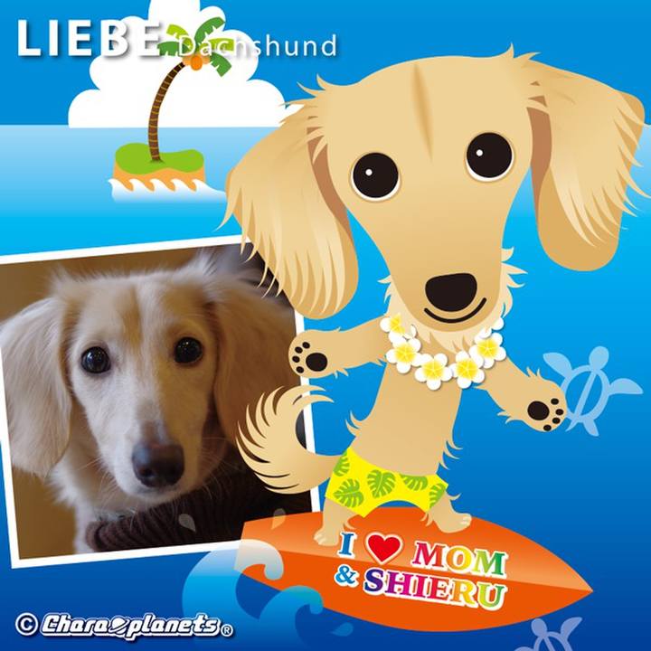 0e226a17 ef4a 42fa 8c74 f46cd4ea8078