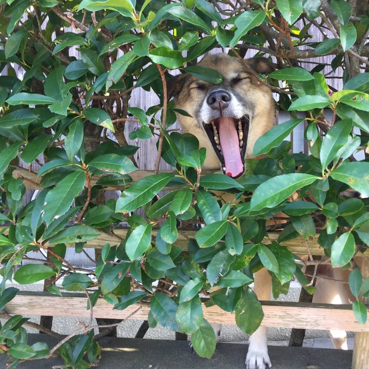 0e228149 39cb 49c4 b92f 48955c6401bc