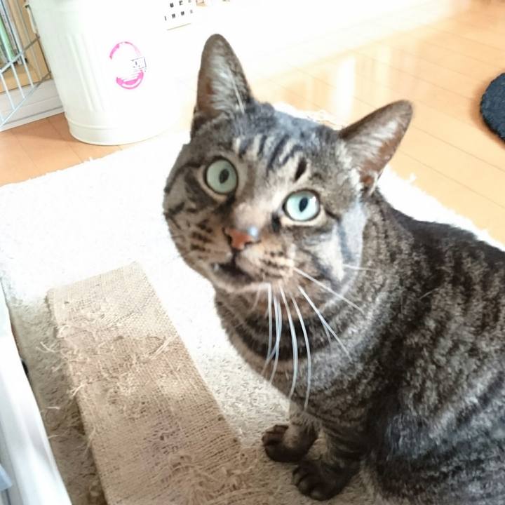 0e22ec1b 22cd 45ef b66e 5566a4603c39