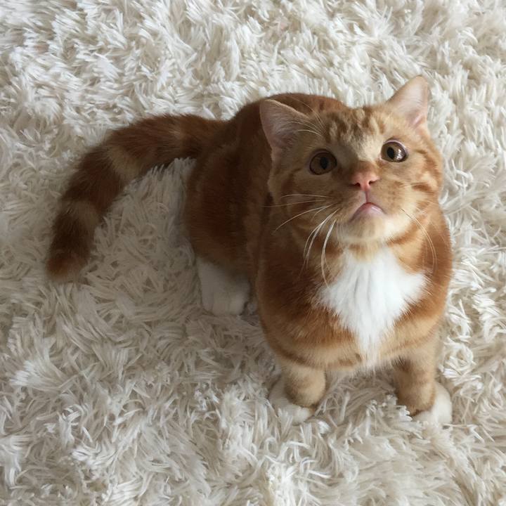 0e240734 8183 451d a795 7c69f310c2c8