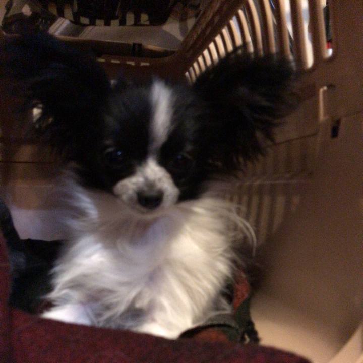 0e243eff 76c7 430b b4ee 2f5dba3020f1