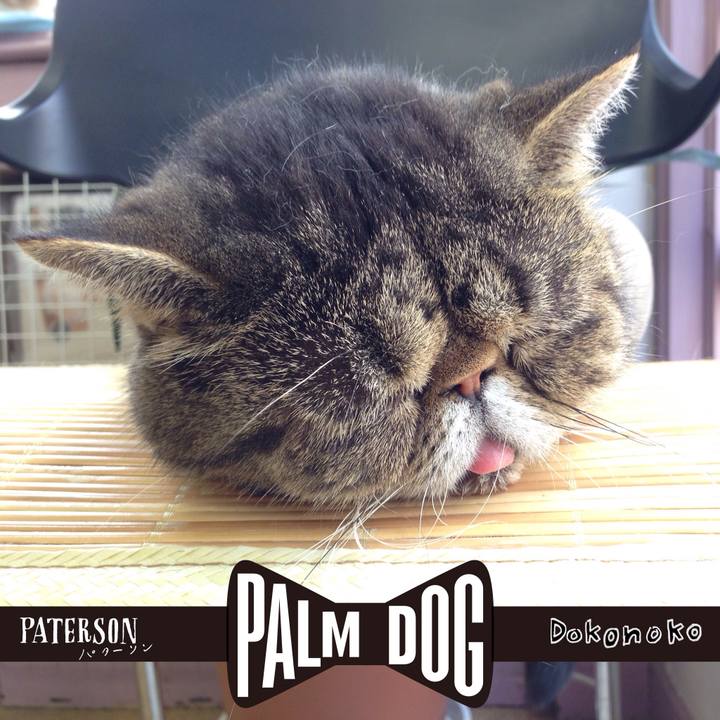 0e24dfc1 75c9 454f ae1c dc124c47d006