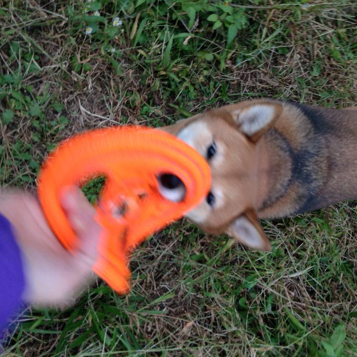 0e254d94 2db4 4253 a310 05db8e85fb1c