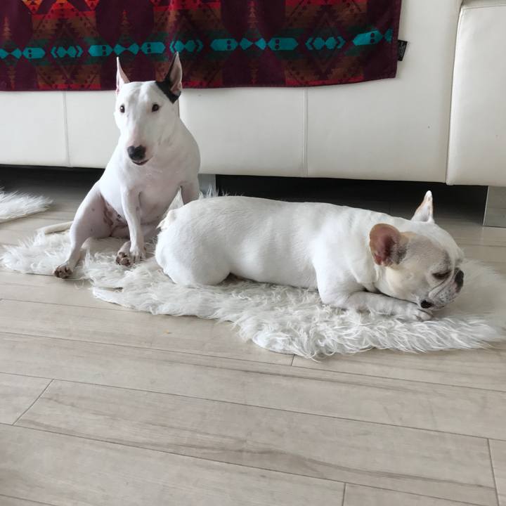 0e258c38 f685 4030 9f34 9d84f156c1e8