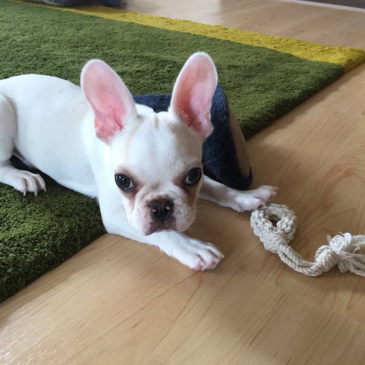 0e25d21f 3921 4608 884e 6f8bde720f2c