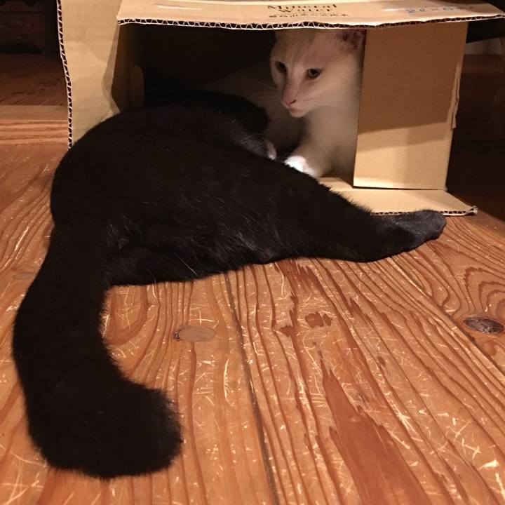 0e264a34 10e4 46af a896 4cfe0ed21389