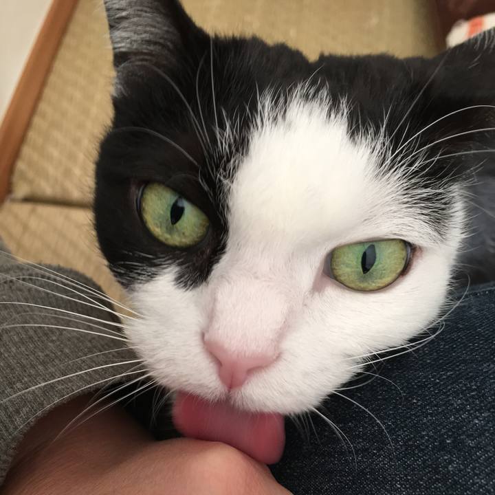 0e26873b f372 4b35 992d a397794b4a97