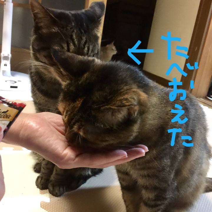 0e2698e3 0549 48ed b52d fa168b0dd190