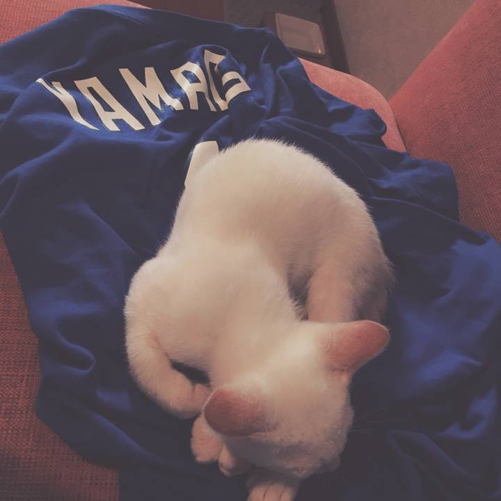 0e26c82e 0293 4d95 9fb3 e26939a5f2d7