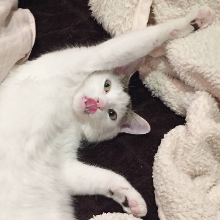 0e26fd29 17d8 473c 8d1d 3396ba82ca37