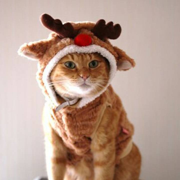 0e276ec2 71dd 44b8 9e4a 767c5363f682