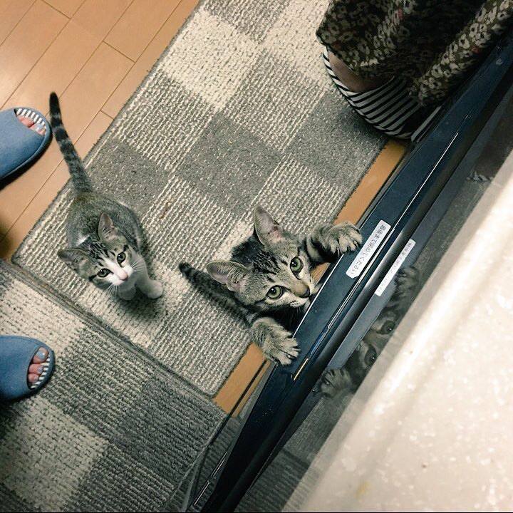 0e27d814 33b9 44ec 9eb7 48cc543b5b4e