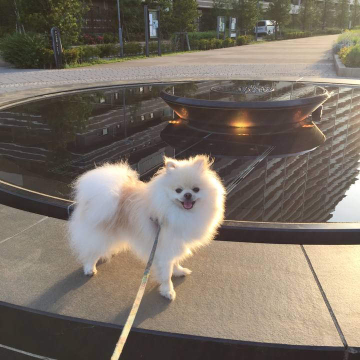 0e28a0c7 d272 4b01 9fb2 6514e392958f