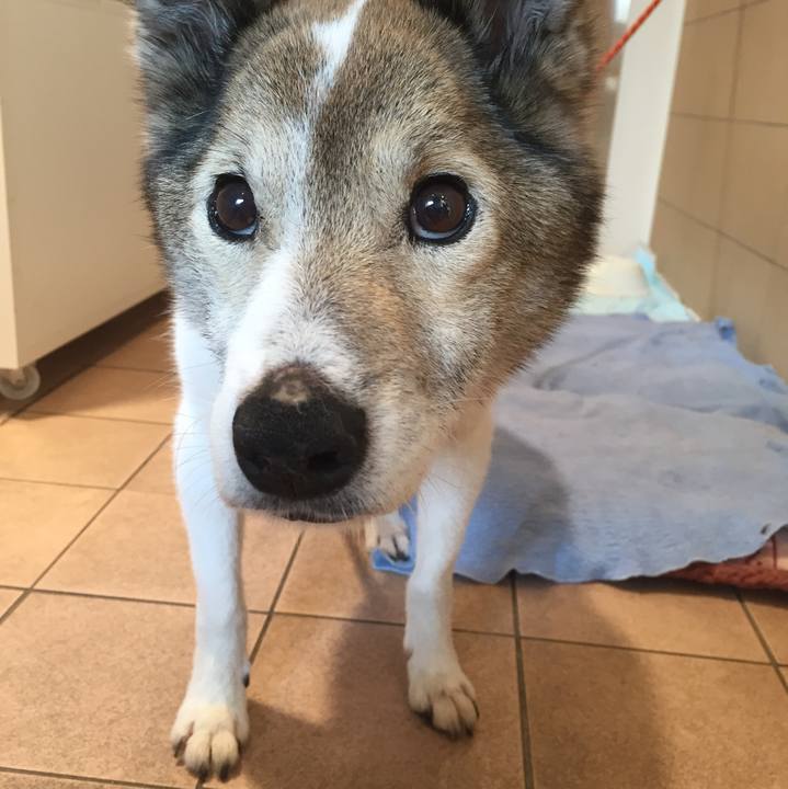 0e28bedd a56f 4ffa 984e 09eda665eb10