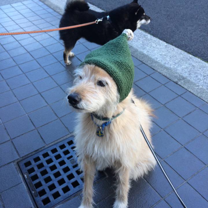 0e28c6f0 3cde 45c9 806c 86734297263c