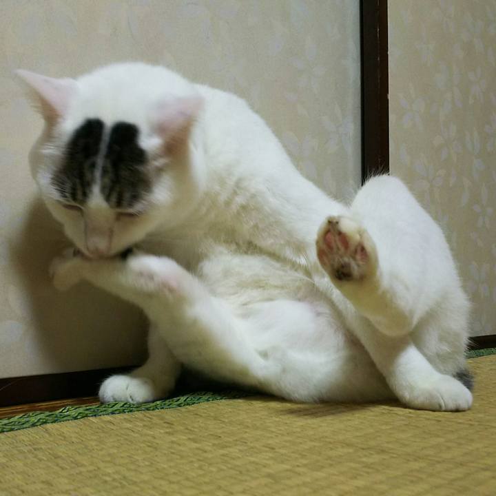 0e29c120 292e 419b 98ee a53ba7d1336e