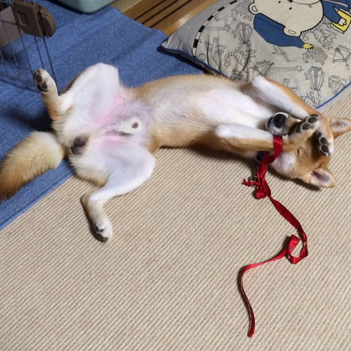 0e2ad527 b35a 468c 9de8 25536a0c23ba