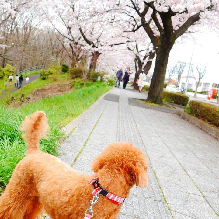 0e2aeb28 6628 4182 91d6 989cbfa6fc06